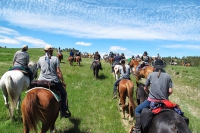 Crazy Horse Ride