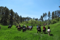 Crazy Horse Ride