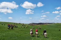 Crazy Horse Ride