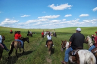 Crazy Horse Ride