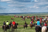 Crazy Horse Ride